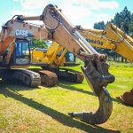 Stump removal , tree fellers, forestry, stump grinder hire, forestry companies in South Africa